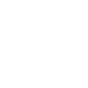 First Trimester Icon