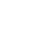 Second Trimester Icon